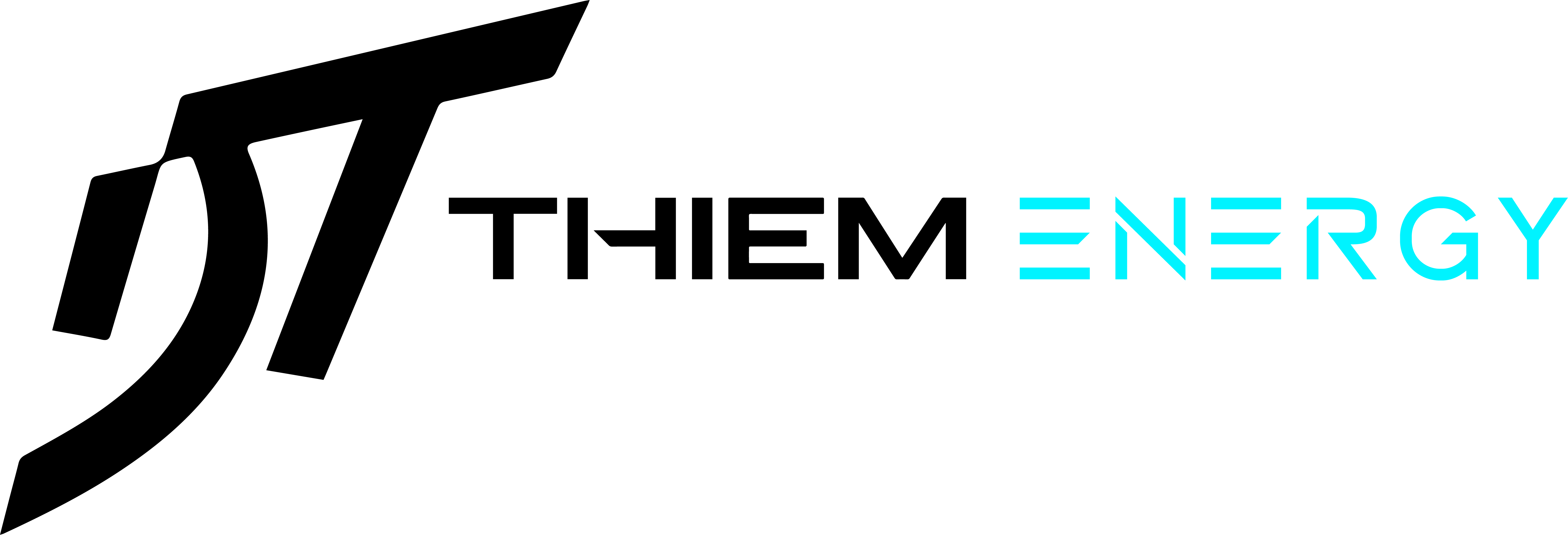 Logo Thiem Energy Partner black