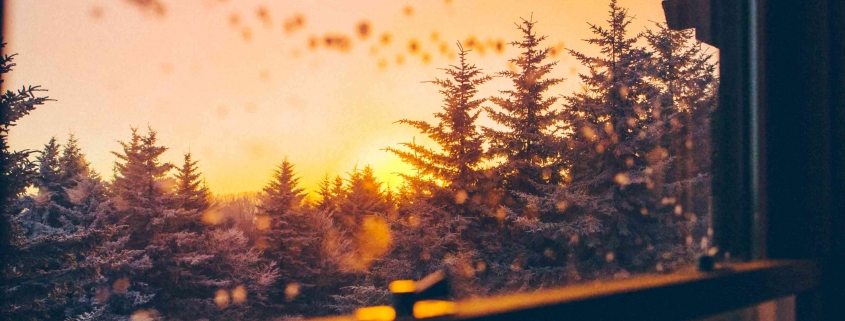 Wie Du Deinen Heizkostenzuschuss beantragst und was es zu beachten gibt. Schöner Ausblick Sonnenaufgang mit Bäumen