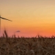 Erneuerbare Energie in Österreich - wir haben gecheckt, wo Dein Strom in der Heimat genau herkommt.