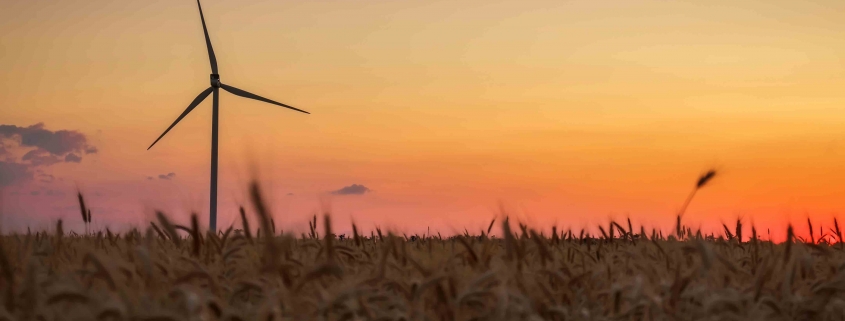 Erneuerbare Energie in Österreich - wir haben gecheckt, wo Dein Strom in der Heimat genau herkommt.