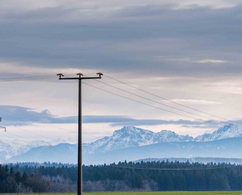 In Niederösterreich wurde ein Strompreisrabatt für alle Haushalte beschlossen. Wir erklären Dir, wie Du die Subvention beantragst.