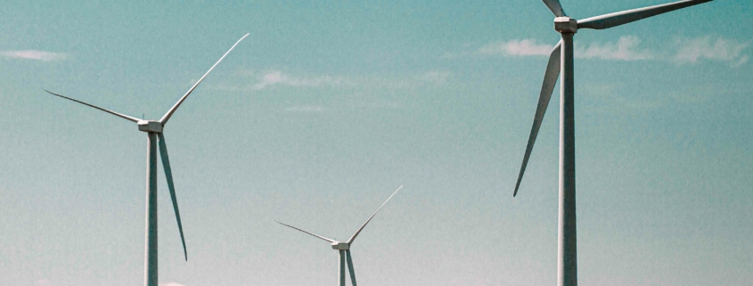 Windenergie zählt als eine der wichtigsten nachhaltigen Energiequellen der Zukunft. Wir sagen Dir, was Du darüber wissen musst.