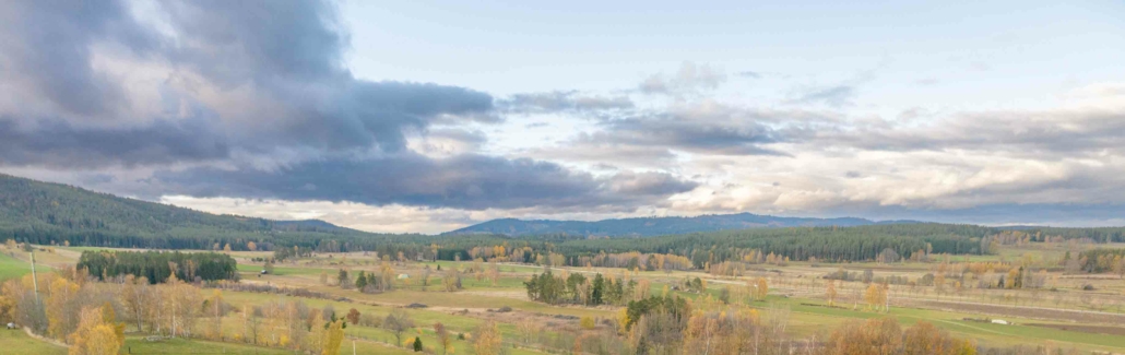 Naturschutz auf MAXENERGY Blumenwiesen in Österreich 🌼